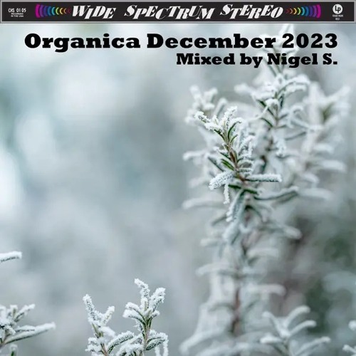 Organica December 2023: Mixed By Nigel S.