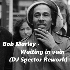 Bob Marley - Waiting In Vain (DJ Spector Rework)