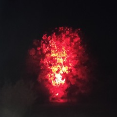 premier set entraînement