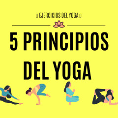 5 principios del yoga para principiantes, (creado con Spreaker)