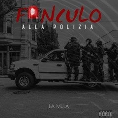 Fanculo  Alla Polizia