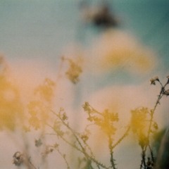 Haŵs w/ Rhodri Price & Warwick - May 2021