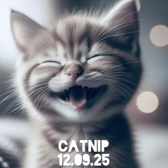 CATNIP 12.09.25