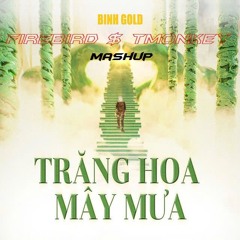 BINH GOLD - Trang Hoa May Low - TMONKEY ft FIREBIRD ( Mashup )