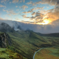 Butterfly in the Wind - Baroque