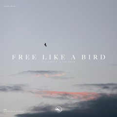 Anthony P. & Thunder - Free Like A Bird