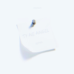 02.ty ne angel(remix)