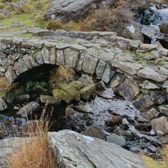 Beside a Stream