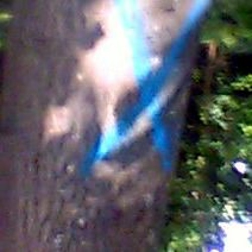 Didge95