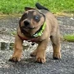 PlayStation 2 Drum & Bass DJ Mix