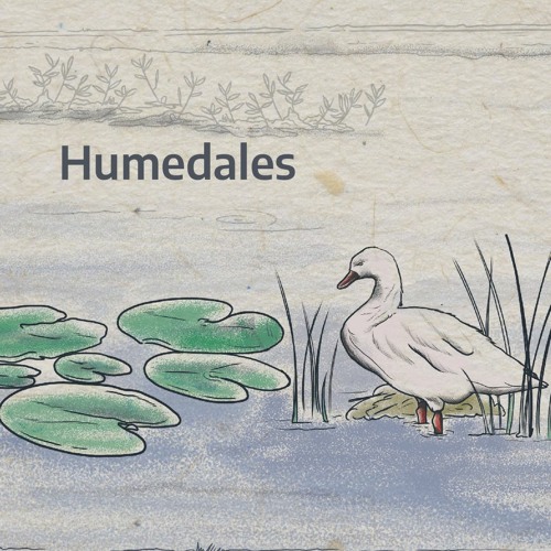 Dibujo De Humedales 