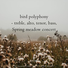 bird polyphony (naviarhaiku495)