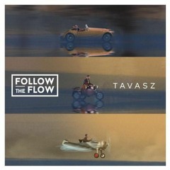 Follow The Flow - Tavasz (Matthew Beren X Delighters Chill Dub Mix)