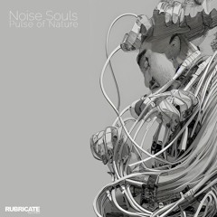 Noise Souls - I Put A Spell On You