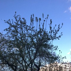 The Weather - Lawrence