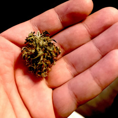 Summer 2023  beat  (Promotional free Instrumental)