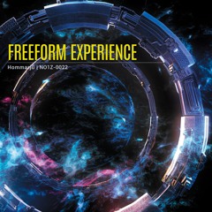 Freeform Experience / Hommarju (Crossfade Preview)
