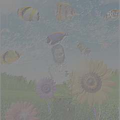 + the last dance ¡  [2wodollars + playboyflex)