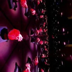 at night // roach fingers [shrpnl edit]