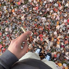 Distracted! (prod. geogotbands)