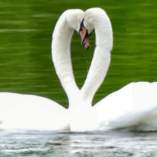 Affection : ) Dave McDonald