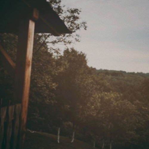 The Last Thing I Would Need