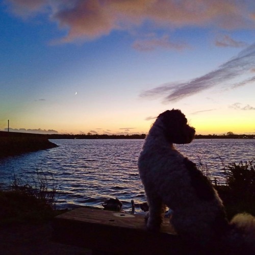 Hannah Peel - Emergence in Nature (Supernature Remix)