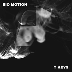 BiQ Motion - T Keys