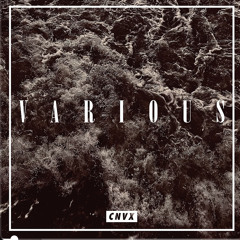 Deep Connection (moments lost in time)