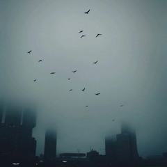 Twenty Twenty Visions