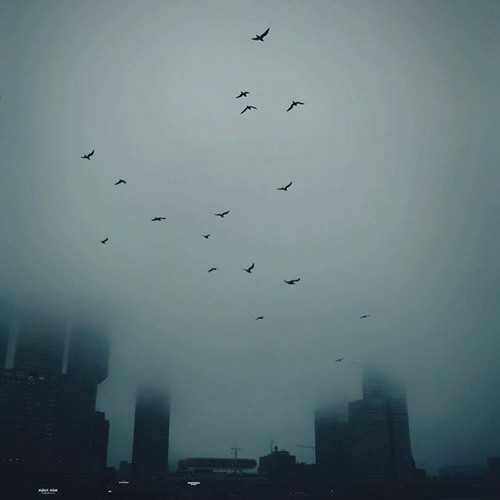Twenty Twenty Visions