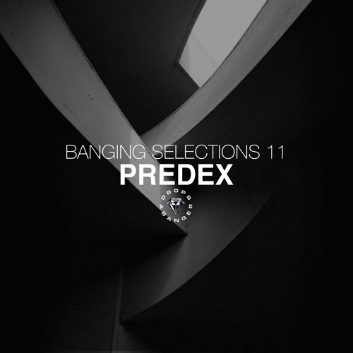 Banging Selections #11 by Predex