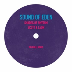 Shades Of Rhythm - Sound Of Eden - Tom Holli Remix
