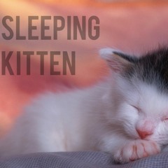 cat purring song (고양이 골골송), ASMR