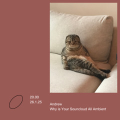 [ANDREW] "WHY IS YOUR SOUNDCOUD ALL AMBIENT"