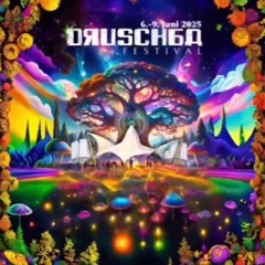 @DRUSCHBA Festival Frisack 07. Juni 2025