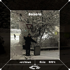 archive.series file_004 - felieni