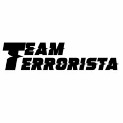 Team Terrorista - Vibe