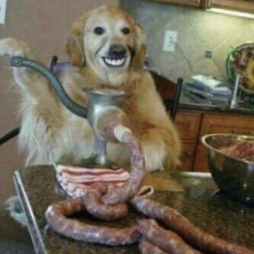 Never knew this before 2