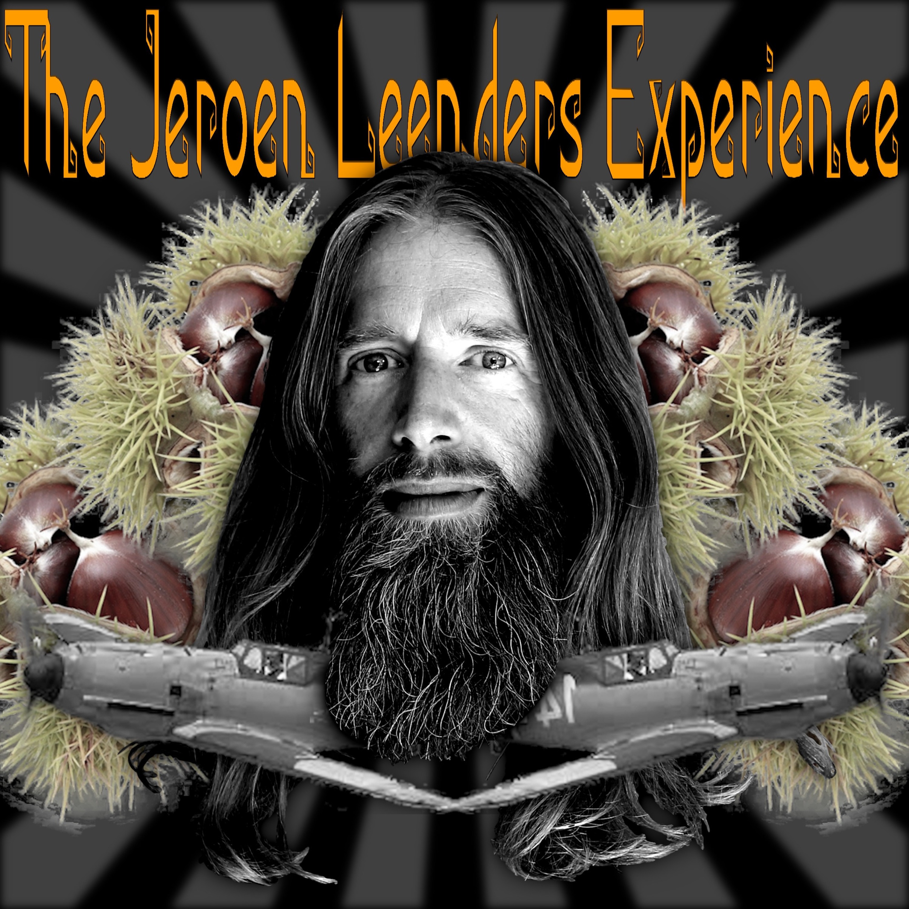 Jeroen Leenders Experience