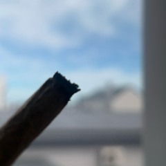 Preset is a b@tc#.mp3