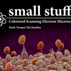 [Read] EBOOK 📥 small stuff: Colorized Scanning Electron Microscopy by  Dr Mark Trosp