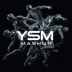 Love Parade x My Humps (YSM Mashup)