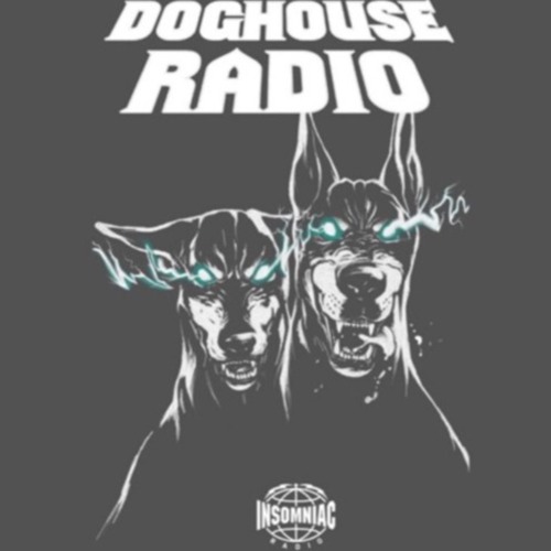 DOGHOUSE RADIO #071 LIVE FROM EDC 2022