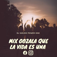 MIX GOZALA QUE LA VIDA ES UNA - DJ GOLDO POWER ONE