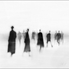 veil