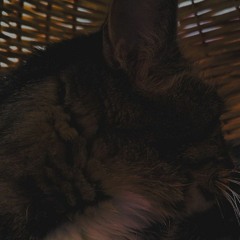 Noise sessions #2 DCXCVI b2b Ruina