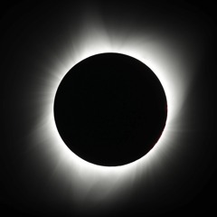 When Darkness Turns (Progressive Techno)