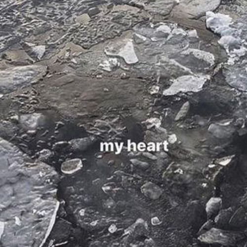 i did it all for love