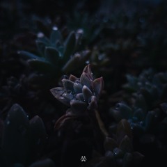 Little Piece in E minor